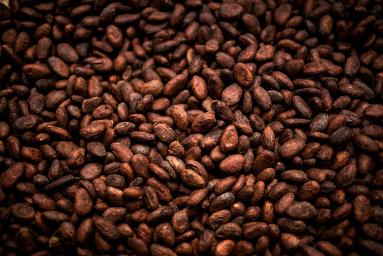 Cocoa Beans